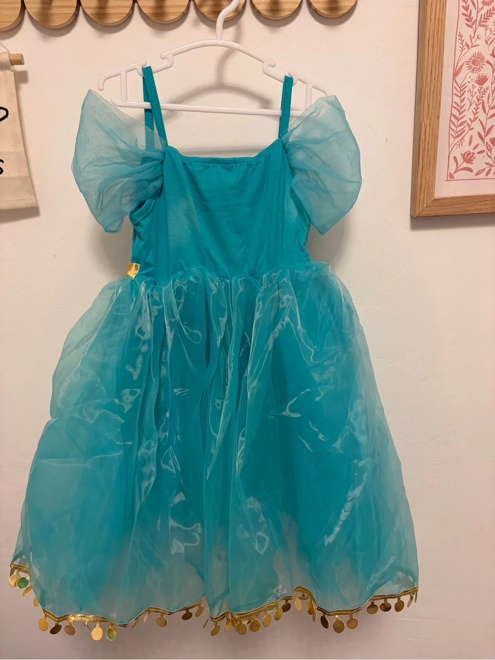 Girls' Teal Princess Costume Dress with Gold Accents